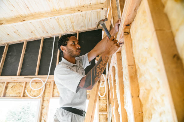 Insulation Inspection Services in Lake City, FL